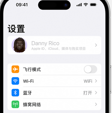 千家镇appleID维修服务iPhone设置中Apple ID显示为灰色无法使用 