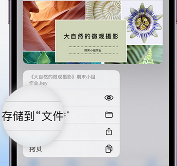 千家镇apple维修中心分享iPhone文件应用中存储和找到下载文件