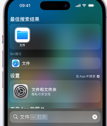 千家镇apple维修中心分享iPhone文件应用中存储和找到下载文件