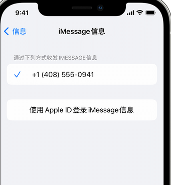 千家镇apple维修iPhone上无法正常发送iMessage信息 