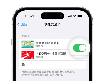 千家镇apple维修点分享iPhone上更换Apple Pay快捷交通卡手绘卡面 