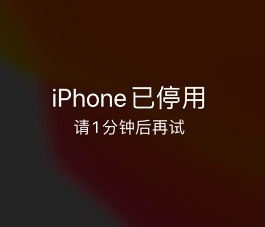 千家镇苹果手机维修分享:iPhone 显示“不可用”或“已停用”怎么办？还能保留数据吗？ 