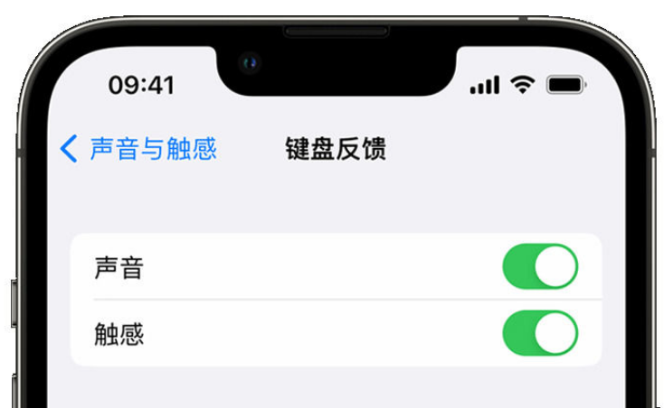 千家镇苹果手机维修分享iPhone 14触感键盘使用方法 