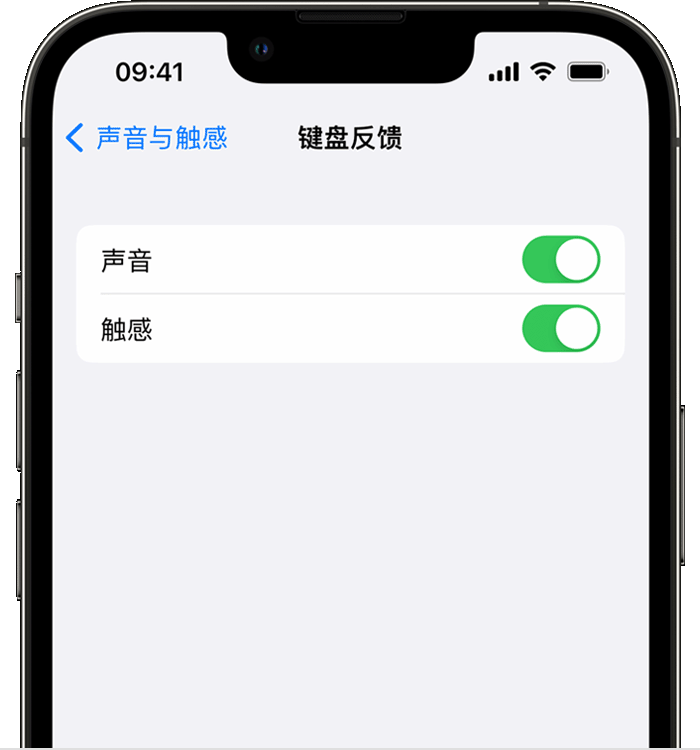 千家镇苹果14维修店分享如何在 iPhone 14 机型中使用触感键盘 