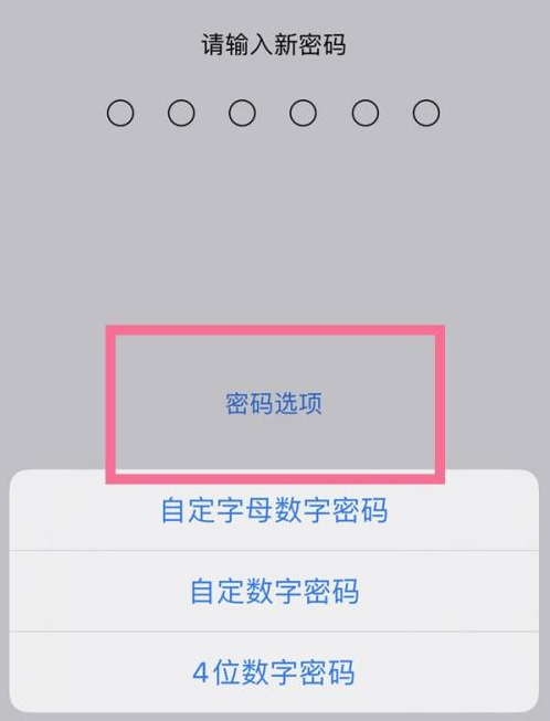 千家镇苹果14维修分享iPhone 14plus设置密码的方法 