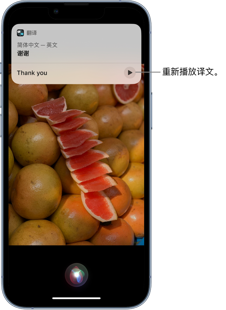 千家镇苹果14维修分享 iPhone 14 机型中使用 Siri：了解 Siri 能帮你做什么 