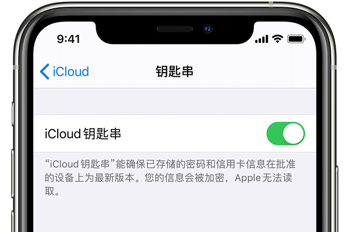 千家镇苹果手机维修分享在 iPhone 上开启 iCloud 钥匙串之后会储存哪些信息 