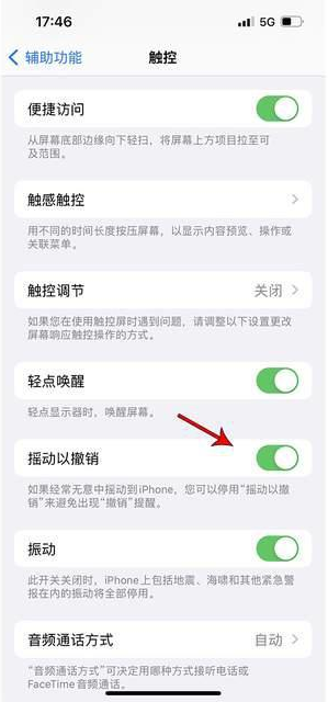 千家镇苹果手机维修分享iPhone手机如何设置摇一摇删除文字 