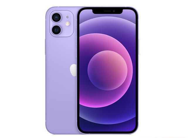 千家镇苹果手机维修分享现阶段要不要入手紫色版iPhone12 